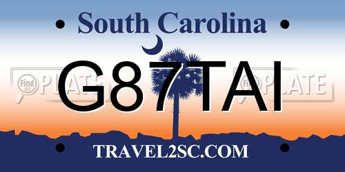 G87TAI South Carolina License Plate