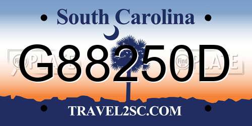 G88250D South Carolina License Plate