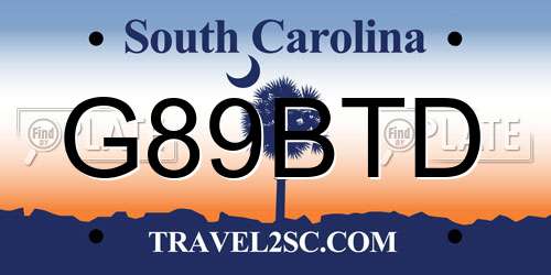 G89BTD South Carolina License Plate