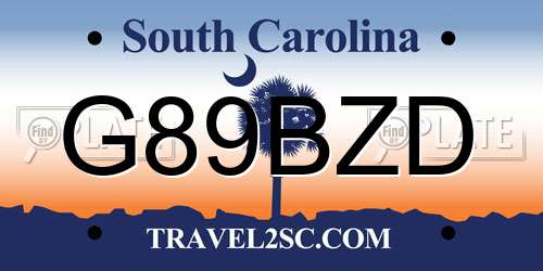 G89BZD South Carolina License Plate