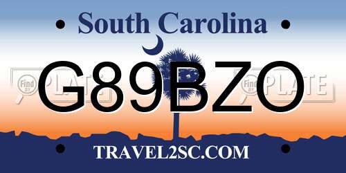 G89BZO South Carolina License Plate