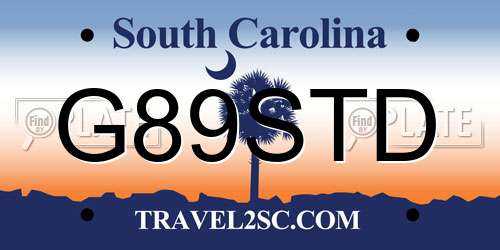 G89STD South Carolina License Plate