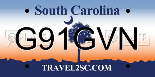G91GVN South Carolina License Plate