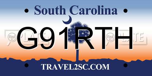 G91RTH South Carolina License Plate