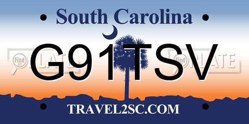 G91TSV South Carolina License Plate