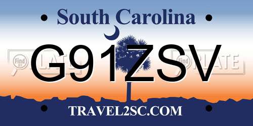 G91ZSV South Carolina License Plate