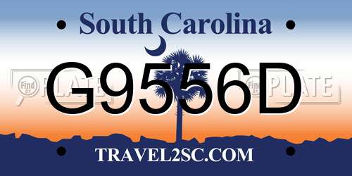 G9556D South Carolina License Plate