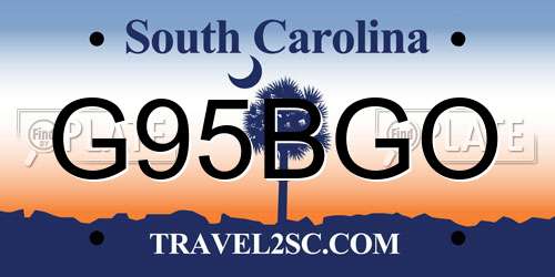G95BGO South Carolina License Plate