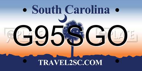 G95SGO South Carolina License Plate