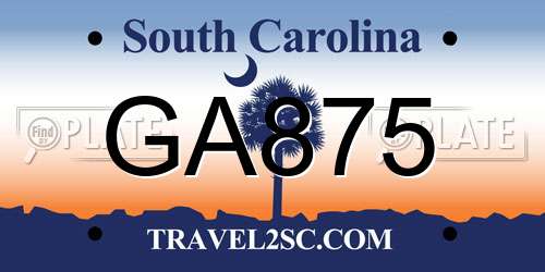 GA875 South Carolina License Plate