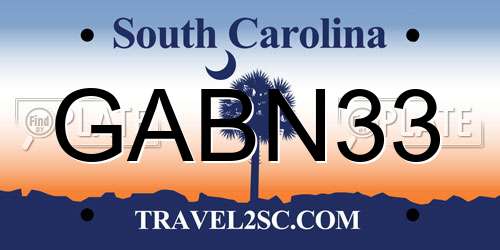GABN33 South Carolina License Plate