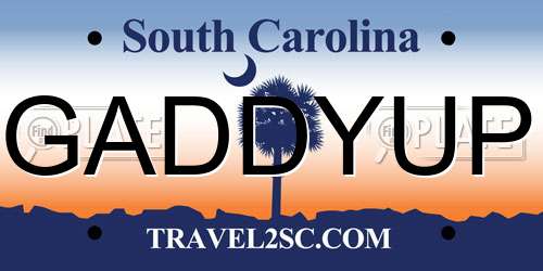 GADDYUP South Carolina License Plate