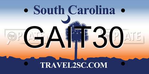 GAIT30 South Carolina License Plate