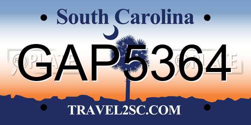 GAP5364 South Carolina License Plate