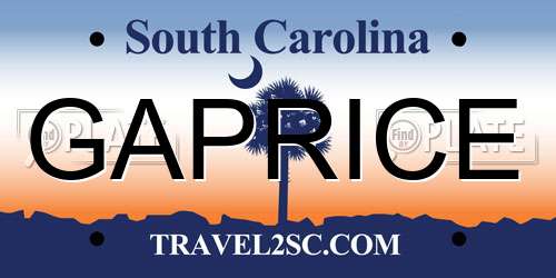 GAPRICE South Carolina License Plate