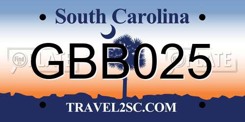 GBB025 South Carolina License Plate