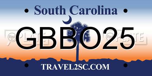 GBBO25 South Carolina License Plate
