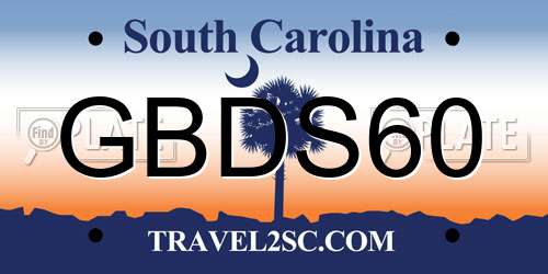 GBDS60 South Carolina License Plate