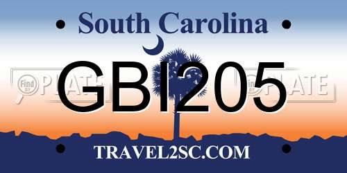 GBI205 South Carolina License Plate