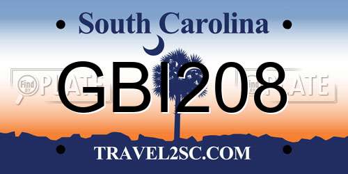 GBI208 South Carolina License Plate