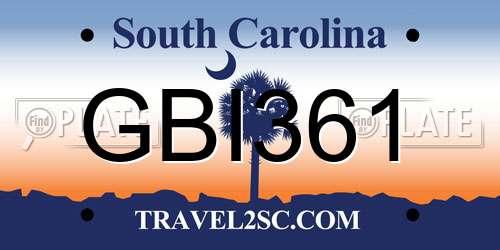 GBI361 South Carolina License Plate