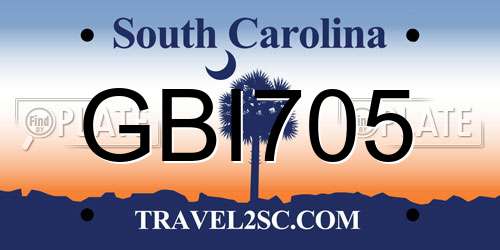 GBI705 South Carolina License Plate