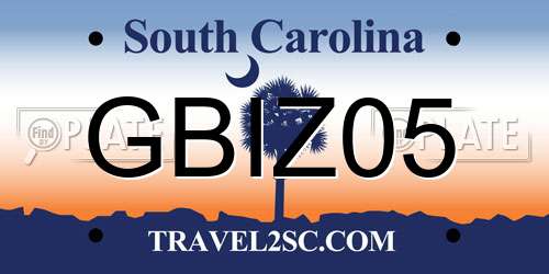GBIZ05 South Carolina License Plate
