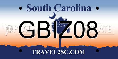 GBIZ08 South Carolina License Plate