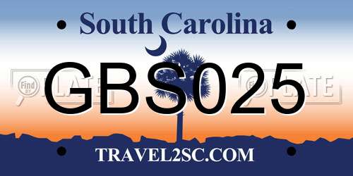 GBS025 South Carolina License Plate