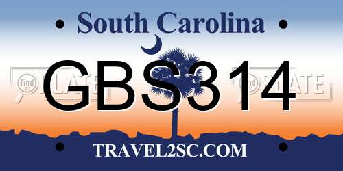 GBS314 South Carolina License Plate