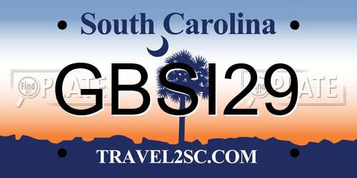 GBSI29 South Carolina License Plate