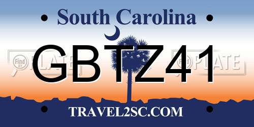 GBTZ41 South Carolina License Plate