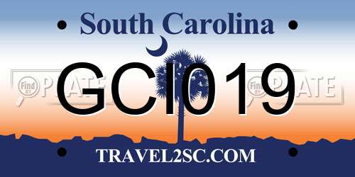 GCI019 South Carolina License Plate