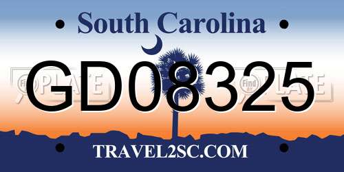 GD08325 South Carolina License Plate