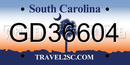 GD36604 South Carolina License Plate