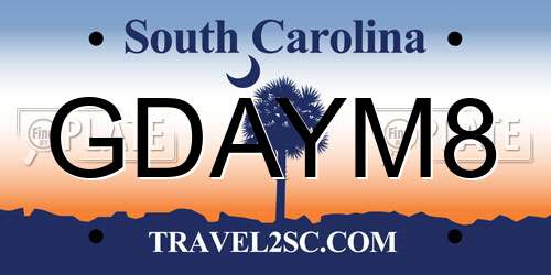 GDAYM8 South Carolina License Plate