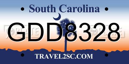 GDD8328 South Carolina License Plate