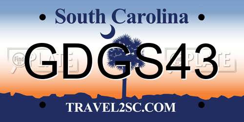 GDGS43 South Carolina License Plate
