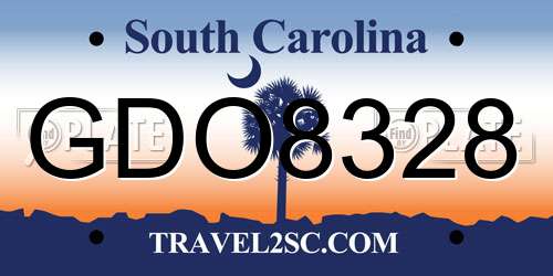 GDO8328 South Carolina License Plate