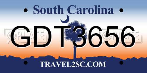 GDT3656 South Carolina License Plate