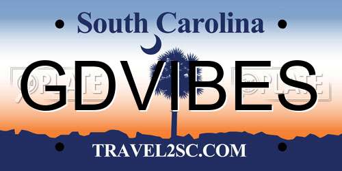 GDVIBES South Carolina License Plate