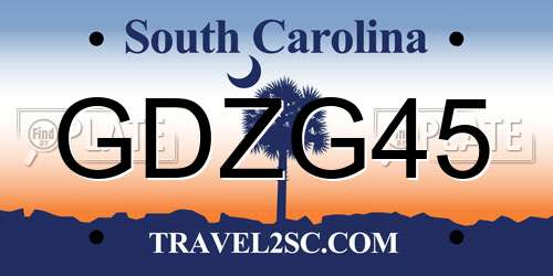 GDZG45 South Carolina License Plate