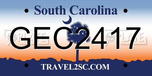 GEC2417 South Carolina License Plate