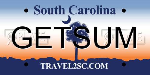 GETSUM South Carolina License Plate