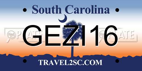 GEZI16 South Carolina License Plate