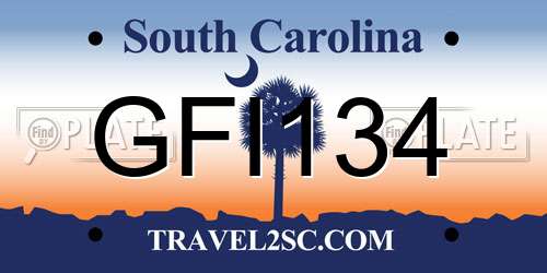GFI134 South Carolina License Plate