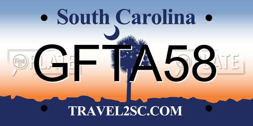 GFTA58 South Carolina License Plate