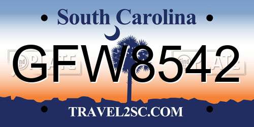 GFW8542 South Carolina License Plate