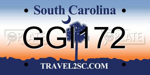 GGI172 South Carolina License Plate