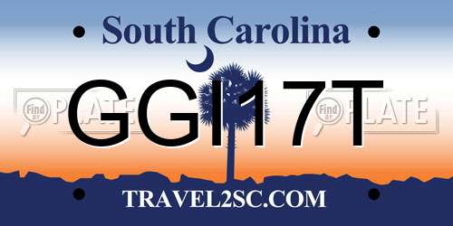 GGI17T South Carolina License Plate